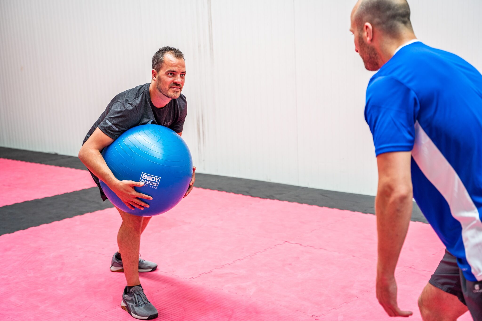 embodied cognition bal