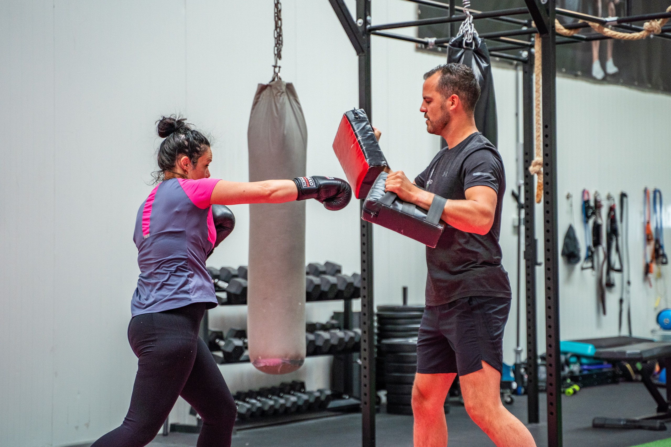 embodied cognition particulier